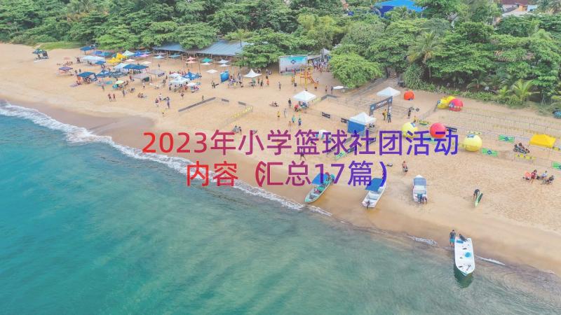 2023年小学篮球社团活动内容（汇总17篇）