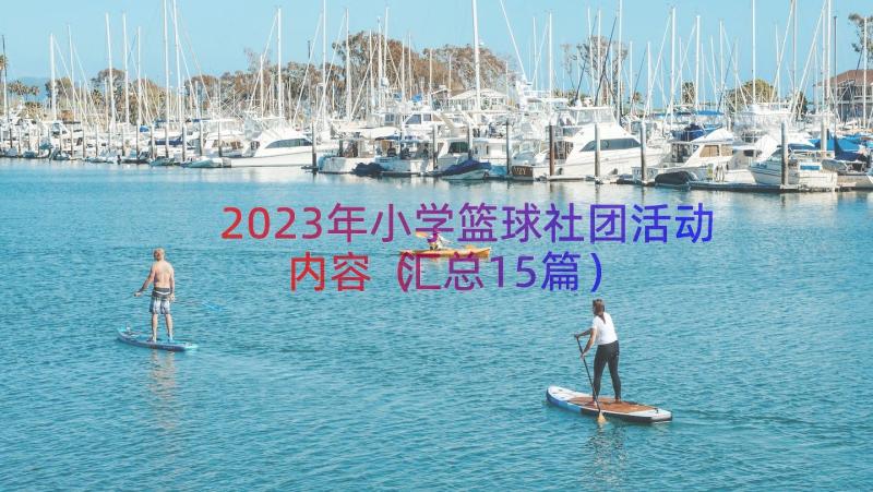 2023年小学篮球社团活动内容（汇总15篇）