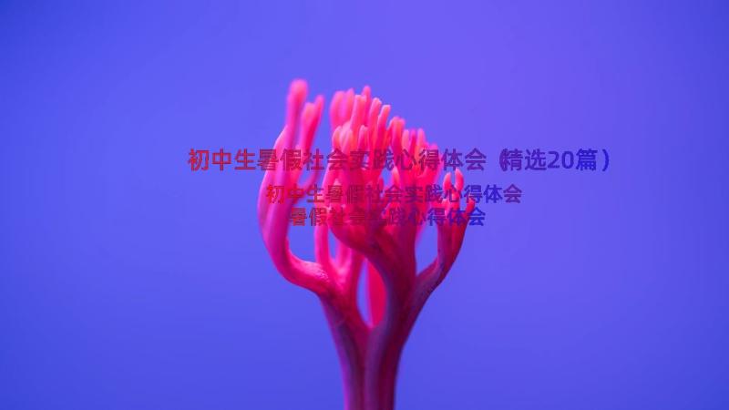 初中生暑假社会实践心得体会（精选20篇）