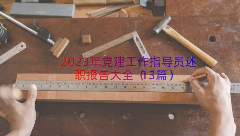 2023年党建工作指导员述职报告大全（13篇）