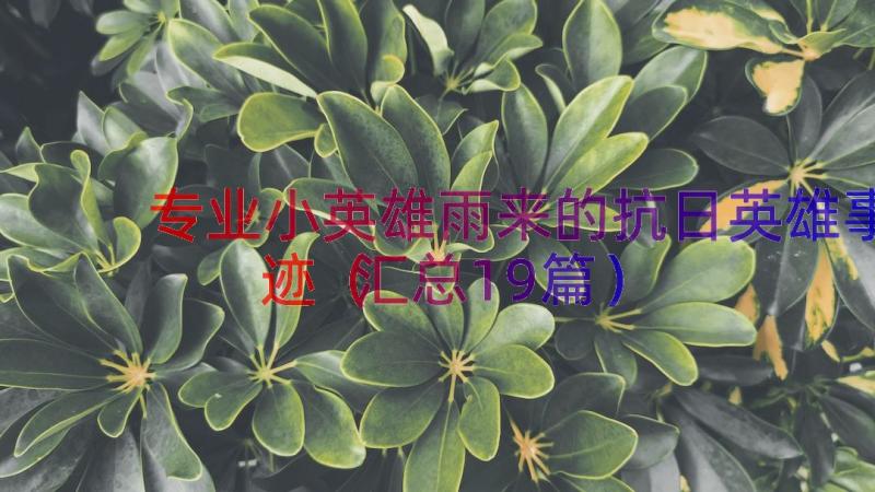 专业小英雄雨来的抗日英雄事迹（汇总19篇）