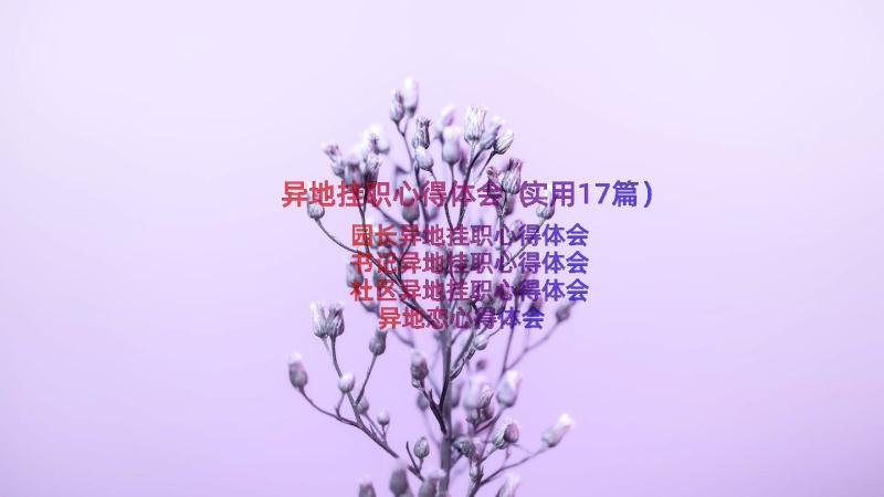 异地挂职心得体会（实用17篇）