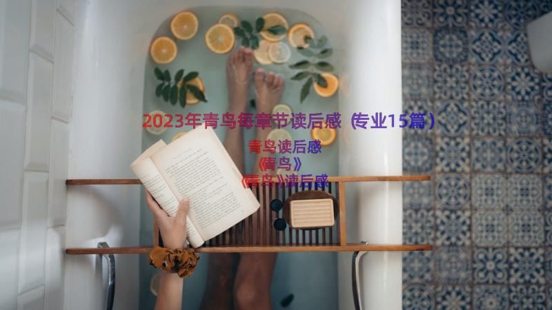 2023年青鸟每章节读后感（专业15篇）