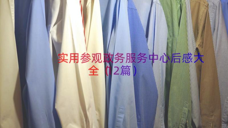 实用参观政务服务中心后感大全（12篇）