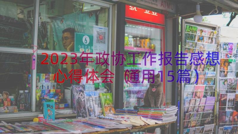 2023年政协工作报告感想心得体会（通用15篇）