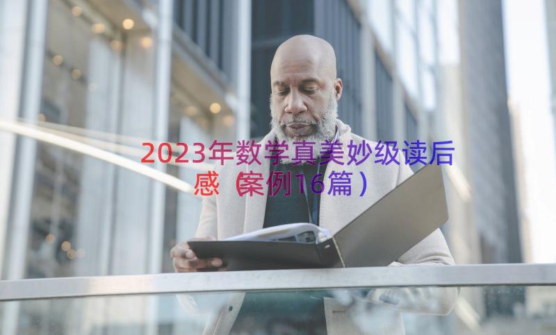 2023年数学真美妙级读后感（案例16篇）