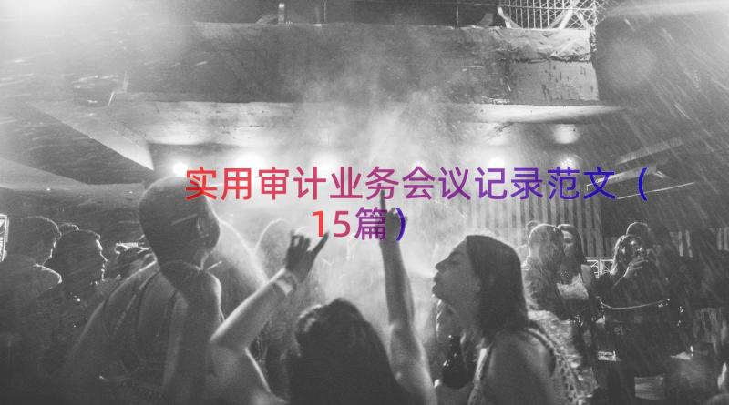 实用审计业务会议记录范文（15篇）