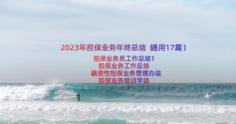 2023年担保业务年终总结（通用17篇）