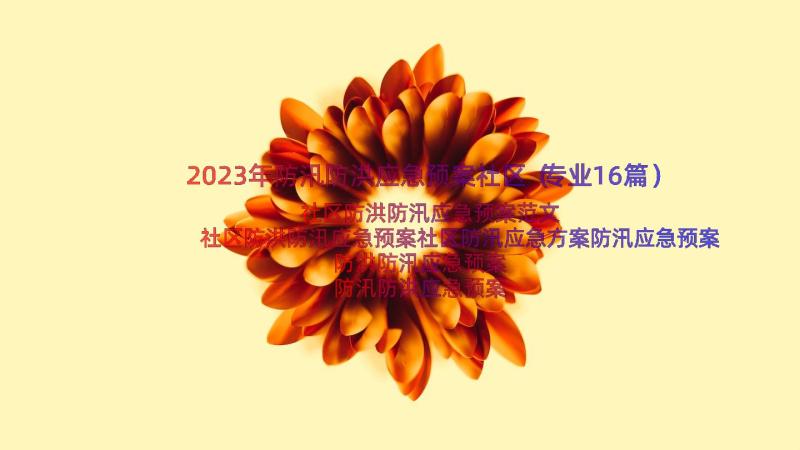 2023年防汛防洪应急预案社区（专业16篇）