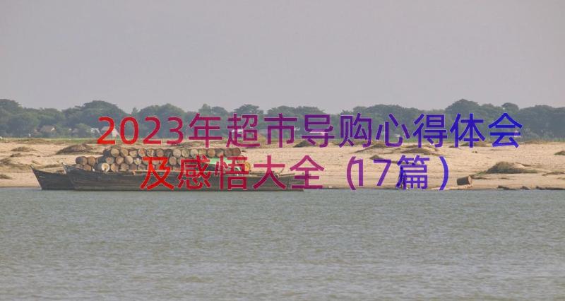 2023年超市导购心得体会及感悟大全（17篇）