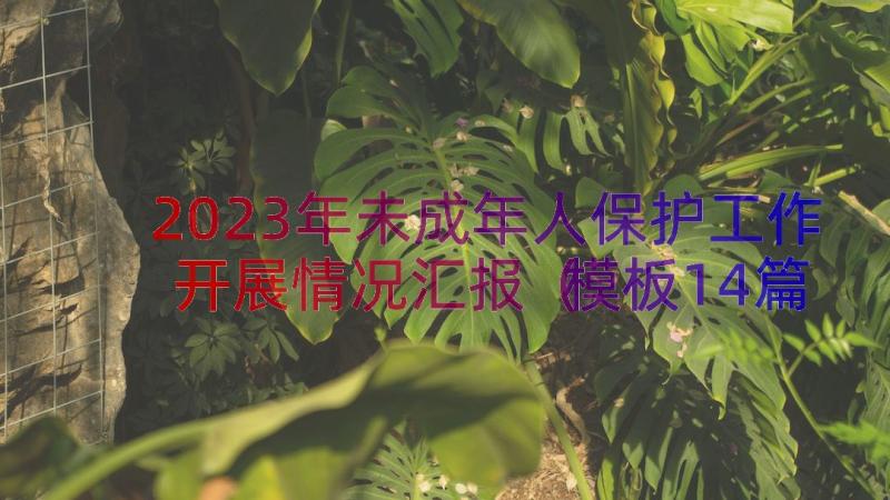 2023年未成年人保护工作开展情况汇报（模板14篇）