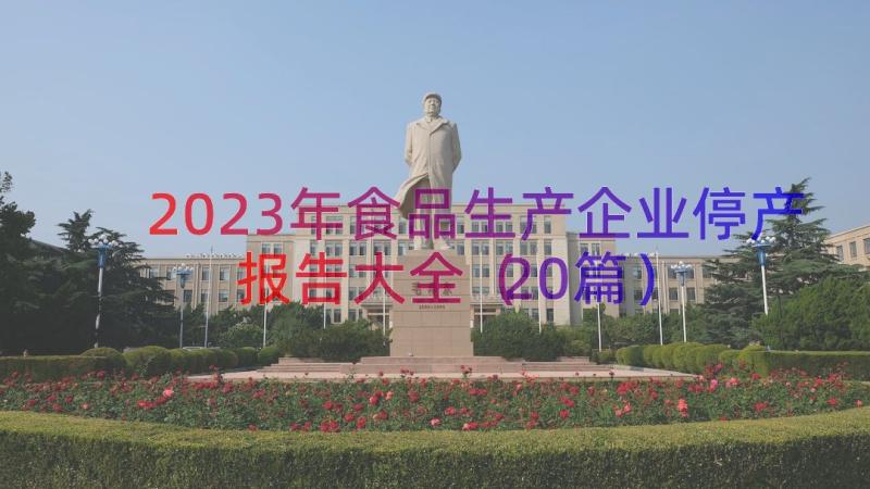 2023年食品生产企业停产报告大全（20篇）