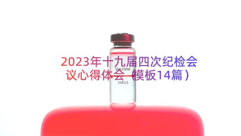 2023年十九届四次纪检会议心得体会（模板14篇）