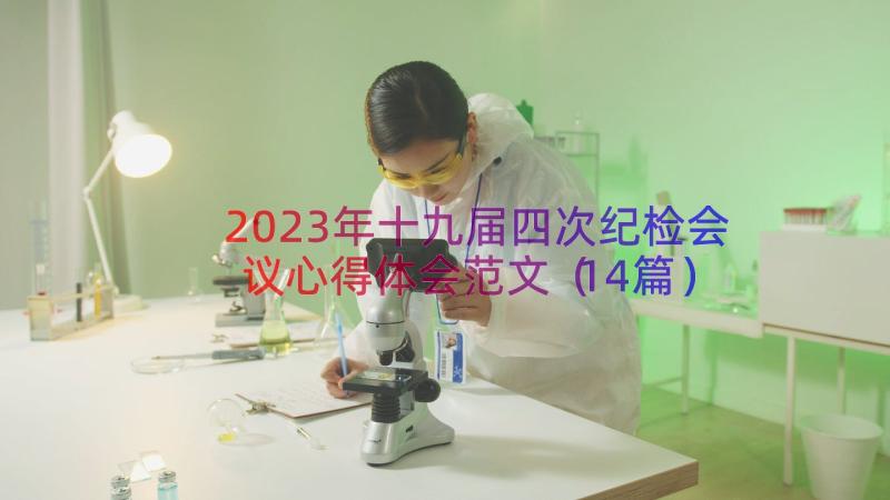 2023年十九届四次纪检会议心得体会范文（14篇）