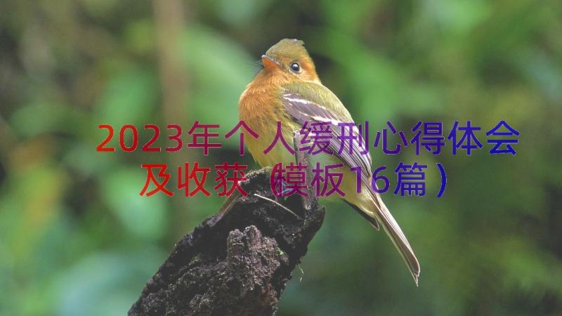 2023年个人缓刑心得体会及收获（模板16篇）