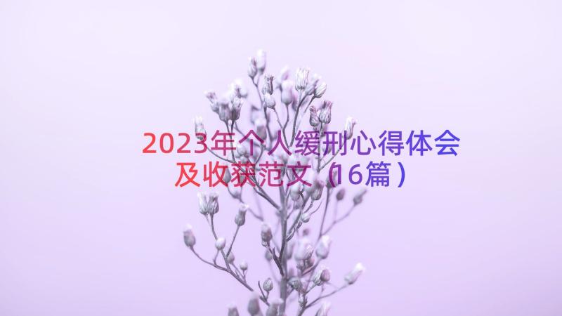 2023年个人缓刑心得体会及收获范文（16篇）