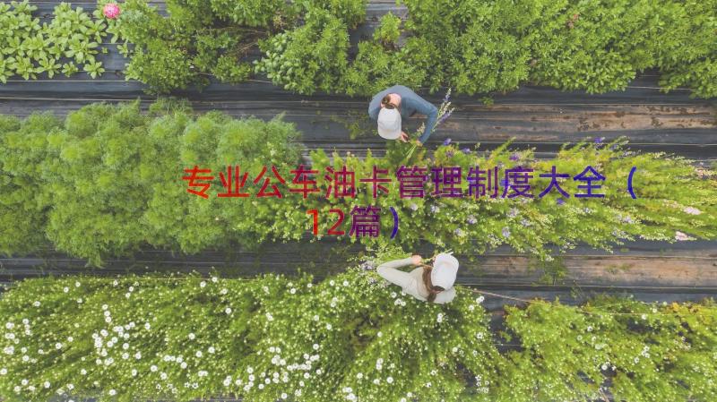 专业公车油卡管理制度大全（12篇）