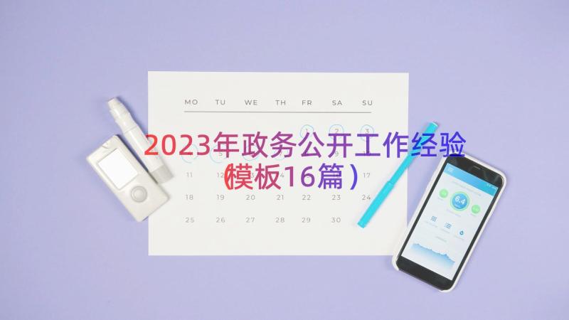 2023年政务公开工作经验（模板16篇）