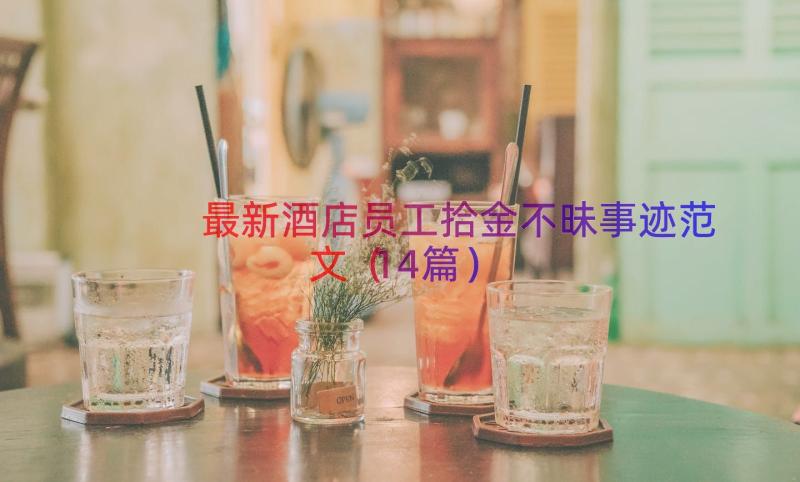 最新酒店员工拾金不昧事迹范文（14篇）