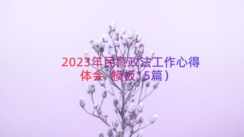 2023年民警政法工作心得体会（模板15篇）