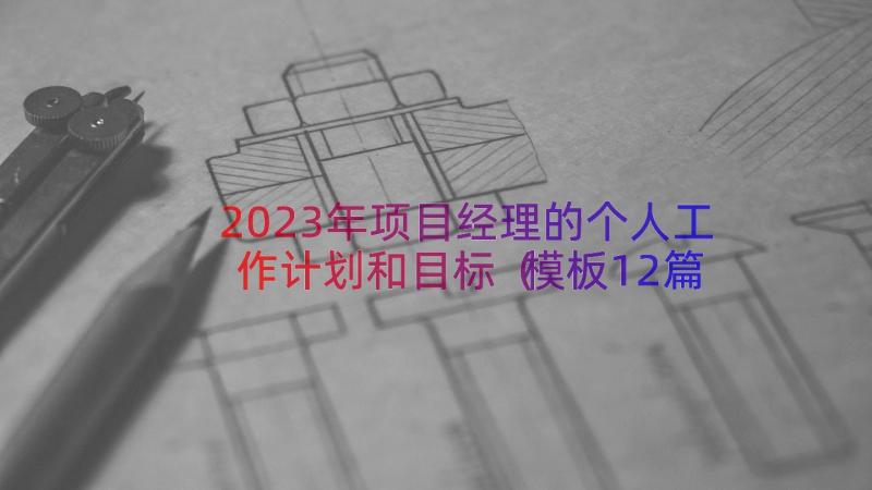 2023年项目经理的个人工作计划和目标（模板12篇）