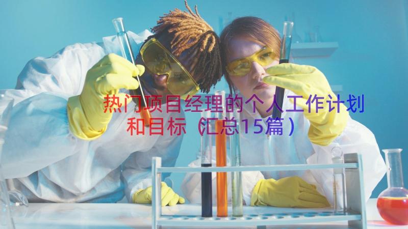 热门项目经理的个人工作计划和目标（汇总15篇）