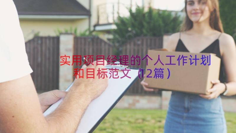 实用项目经理的个人工作计划和目标范文（12篇）