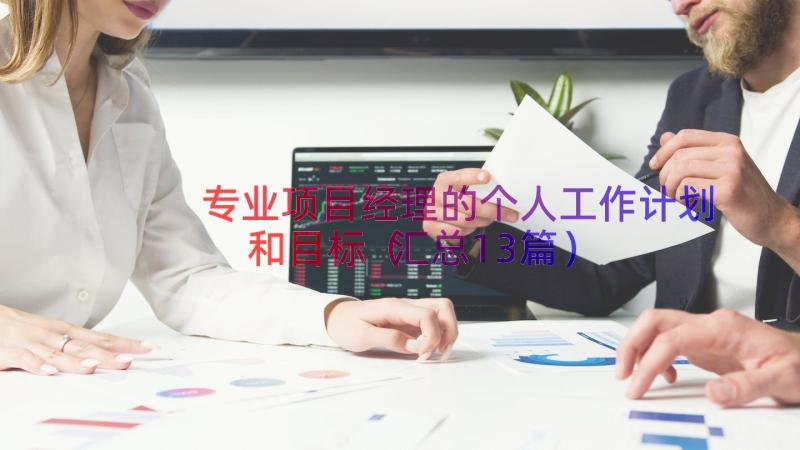 专业项目经理的个人工作计划和目标（汇总13篇）