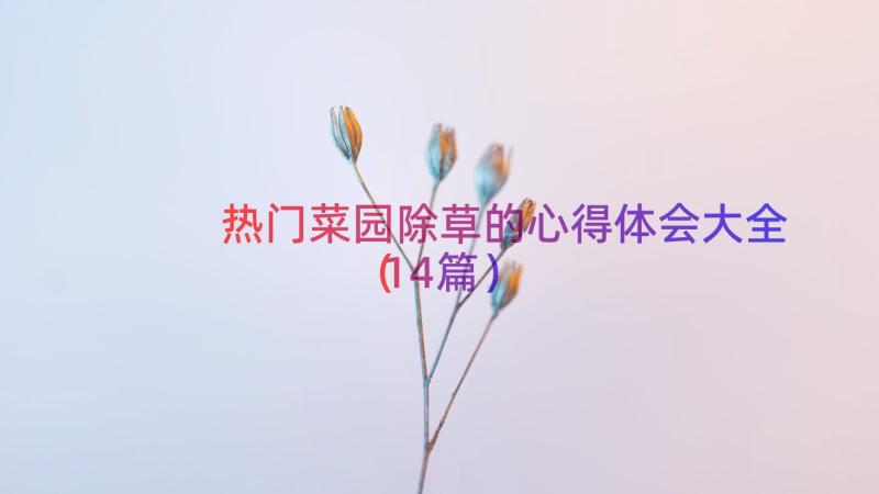 热门菜园除草的心得体会大全（14篇）