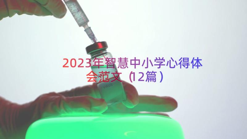 2023年智慧中小学心得体会范文（12篇）