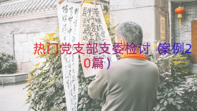 热门党支部支委检讨（案例20篇）