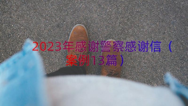 2023年感谢警察感谢信（案例13篇）