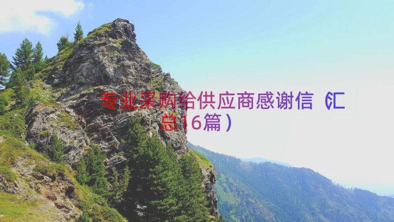 专业采购给供应商感谢信（汇总16篇）