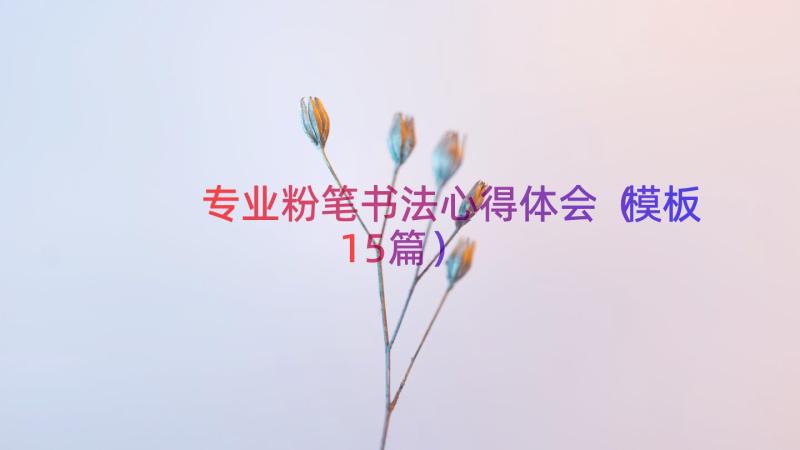 专业粉笔书法心得体会（模板15篇）