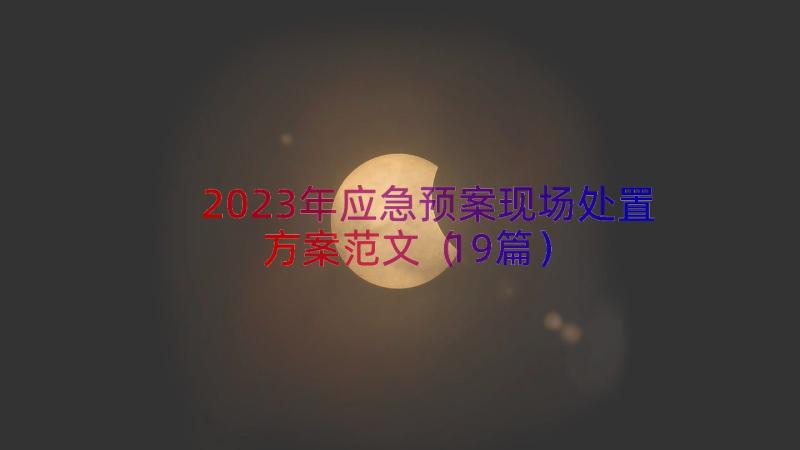 2023年应急预案现场处置方案范文（19篇）