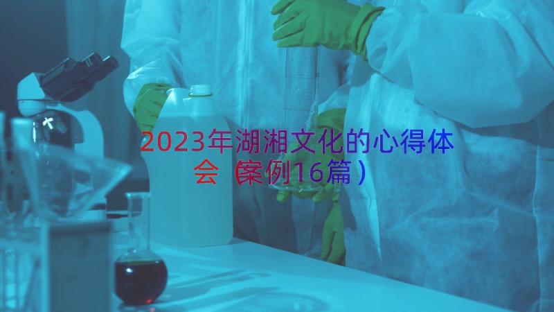 2023年湖湘文化的心得体会（案例16篇）