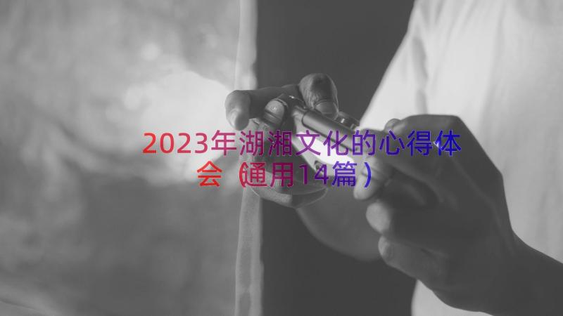 2023年湖湘文化的心得体会（通用14篇）