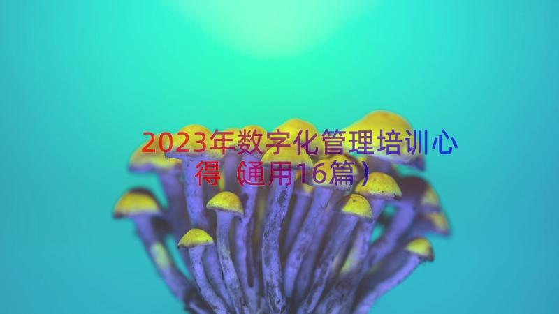 2023年数字化管理培训心得（通用16篇）