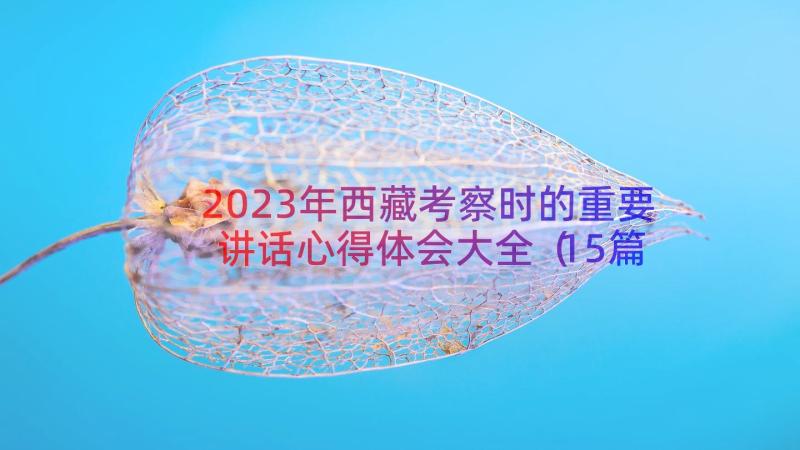 2023年西藏考察时的重要讲话心得体会大全（15篇）