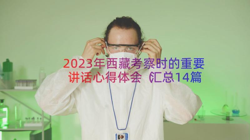2023年西藏考察时的重要讲话心得体会（汇总14篇）