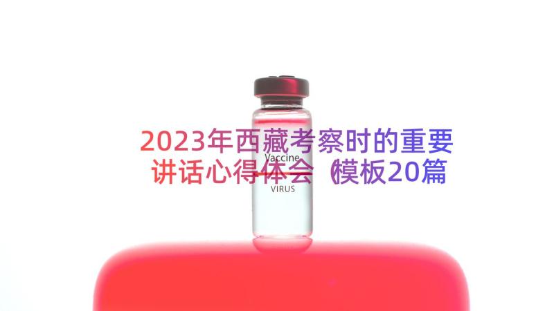 2023年西藏考察时的重要讲话心得体会（模板20篇）