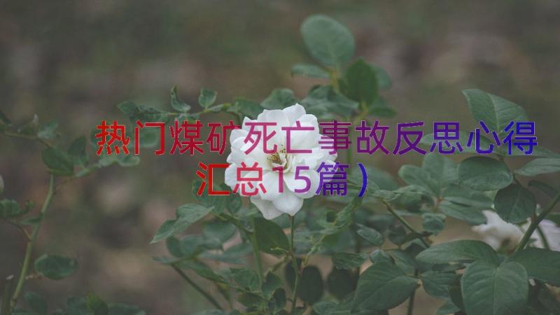 热门煤矿死亡事故反思心得（汇总15篇）