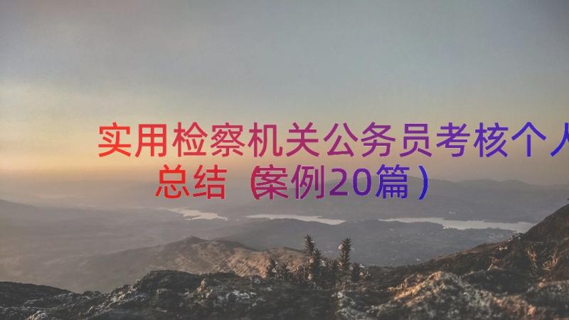 实用检察机关公务员考核个人总结（案例20篇）