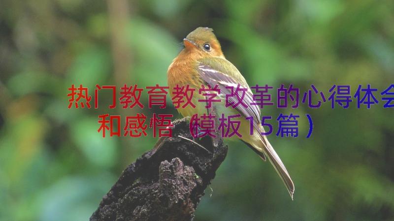 热门教育教学改革的心得体会和感悟（模板15篇）