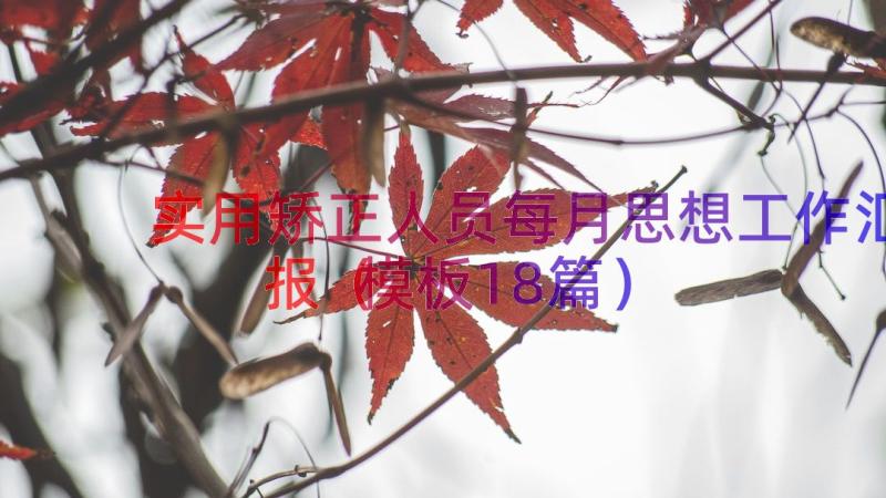 实用矫正人员每月思想工作汇报（模板18篇）