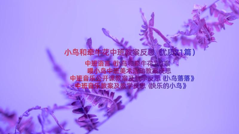 小鸟和牵牛花中班教案反思（优质21篇）