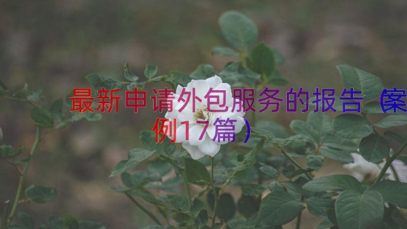 最新申请外包服务的报告（案例17篇）