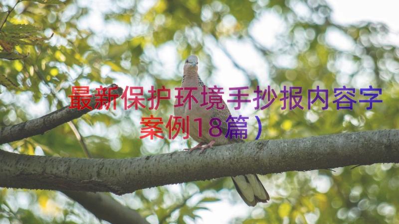 最新保护环境手抄报内容字（案例18篇）