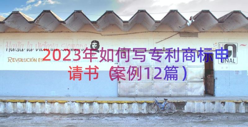 2023年如何写专利商标申请书（案例12篇）