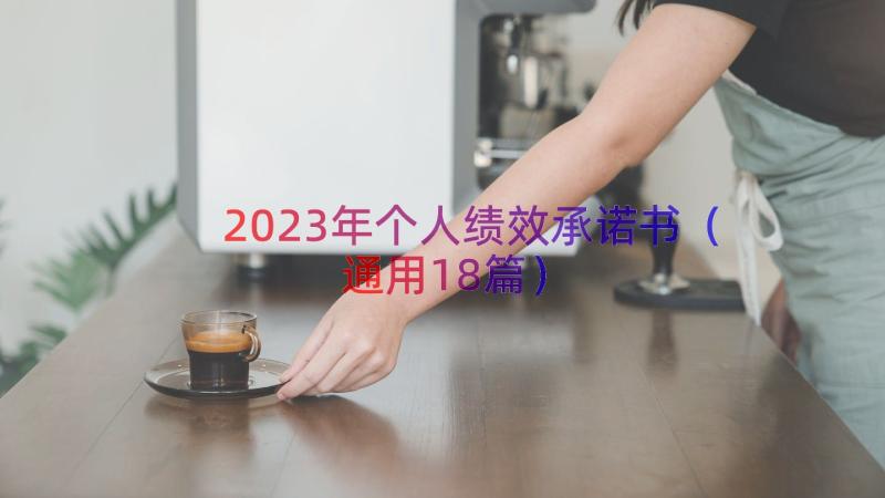 2023年个人绩效承诺书（通用18篇）